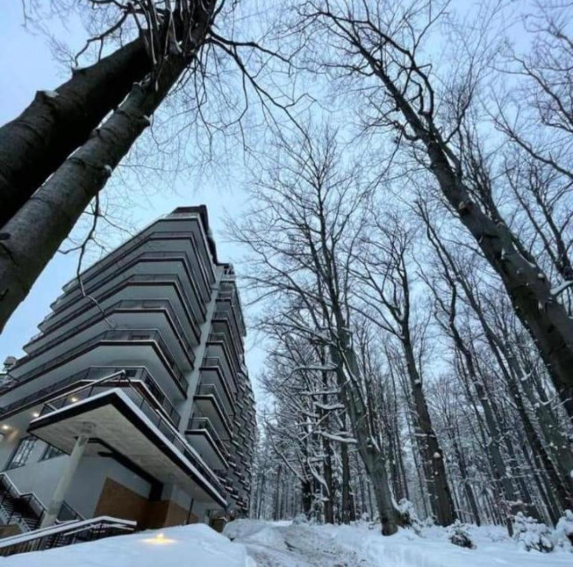 Srodkowa Widok Na Las 2 Pietro Garaz Gratis Шклярська Поремба Екстер'єр фото